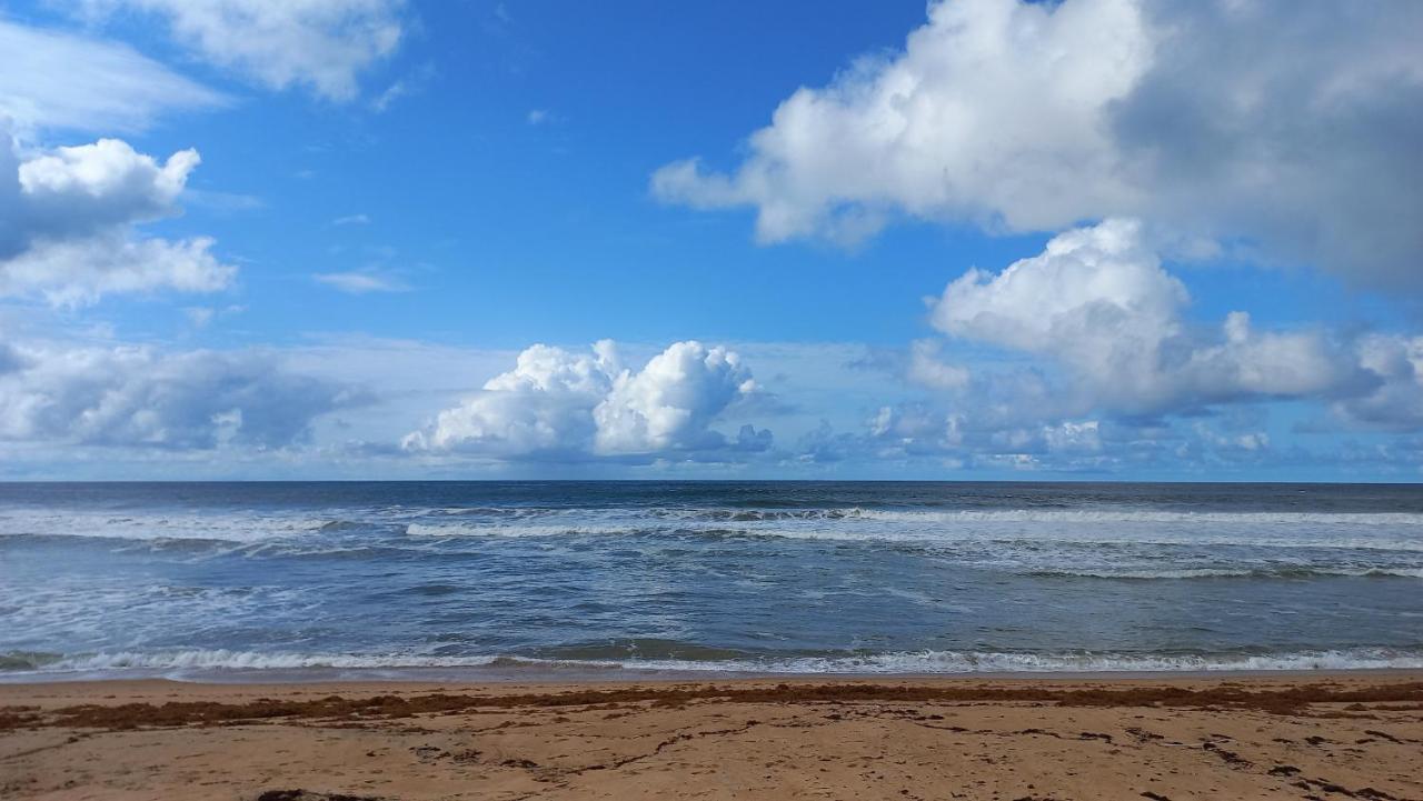Tropicana Beach & Resort Elwa المظهر الخارجي الصورة